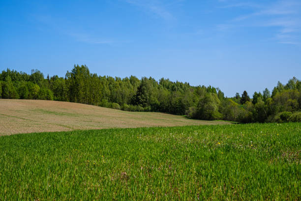 istock green countryside scenery with green meadows and trees in summer 1154637362