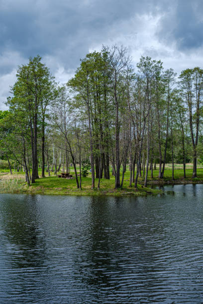 istock river in summer green shores with tree reflections in water 1154637480