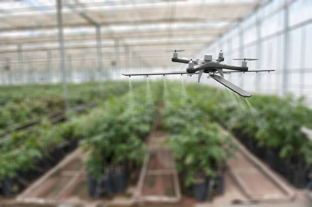istock Drone spraying crops in greenhouse 1154638585