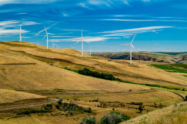 istock Wind turbines along the Columbia river valley 1154642237