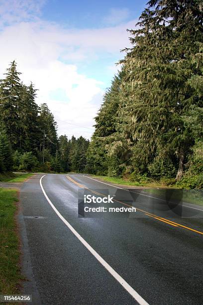 Camino De Alaska Foto de stock y más banco de imágenes de Abeto Picea - Abeto Picea, Acera, Actividad física