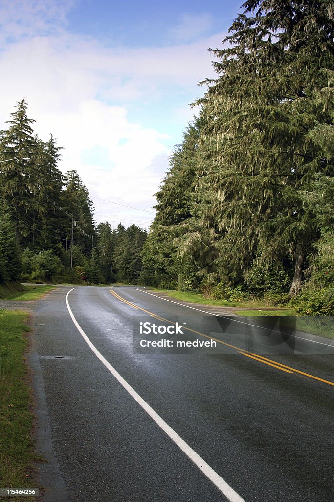 Estrada para o Alasca - Foto de stock de Alasca - Estado dos EUA royalty-free