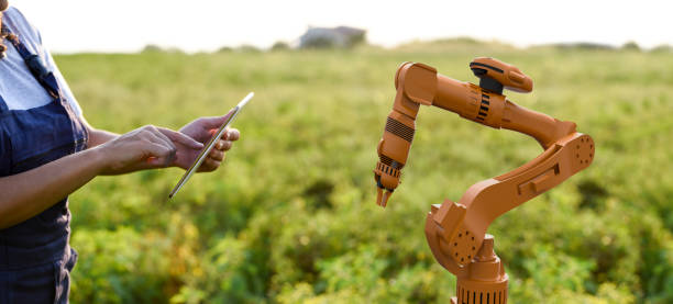 istock Young female farmer operating smart-farming robot 1154642581