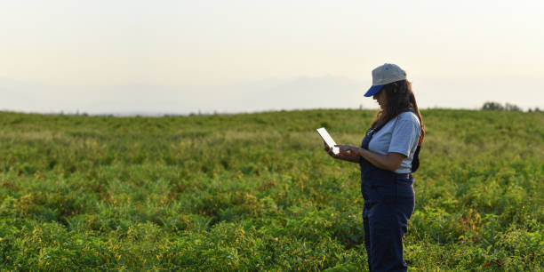 istock Young female farmer with digital tablet 1154642742