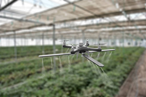 istock Drone spraying crops in greenhouse 1154644690