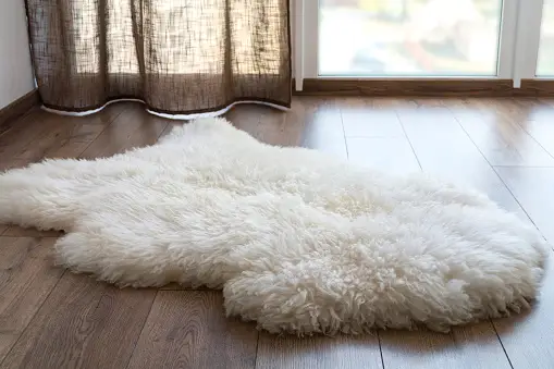 White Fur Carpet Images – Browse 38,744 Stock Photos, Vectors, and
