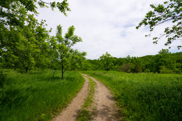 istock Dirt road through the countryside 1154644761