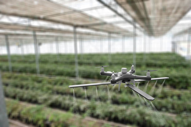 istock Drone spraying crops in greenhouse 1154644993