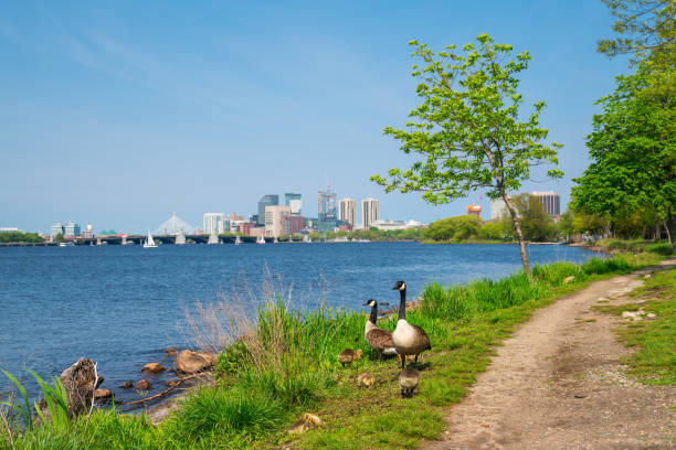 boston - boston skyline charles river blue stock-fotos und bilder