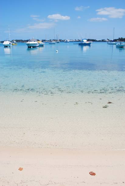 istock A quiet beach in Bermuda with anchored boats. 1154649954