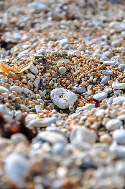 istock Sand and stones on a beach, macro photography and backgrounds 1154652454