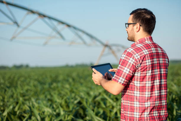 istock Happy young farmer or agronomist controlling large irrigation system with a tablet 1154661745