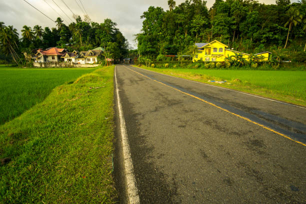Road that you can find in Bohol, Philippines. Taken photo in November 2018.Road you can find in Bohol, Philippines. Taken the photo in November 2018.