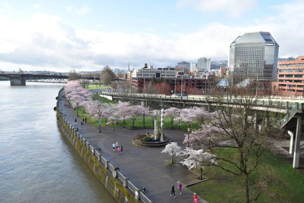 портленд орегон весенней набережной - portland oregon oregon waterfront city стоковые фото и изображения