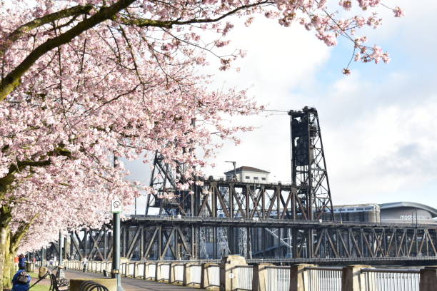 portland oregon waterfront steel bridge - portland oregon oregon waterfront city imagens e fotografias de stock