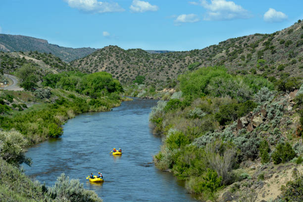 Sunlit Rio Grande River and cottonwoods in autumn, during the 2020 drought. Shot between Taos and Santa Fe. Copy space in the blue sky.Copy space available.