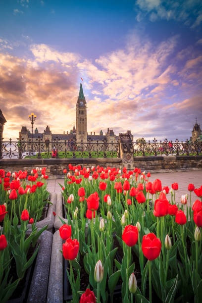 istock View of Canada Parliament building in Ottawa 1154686665