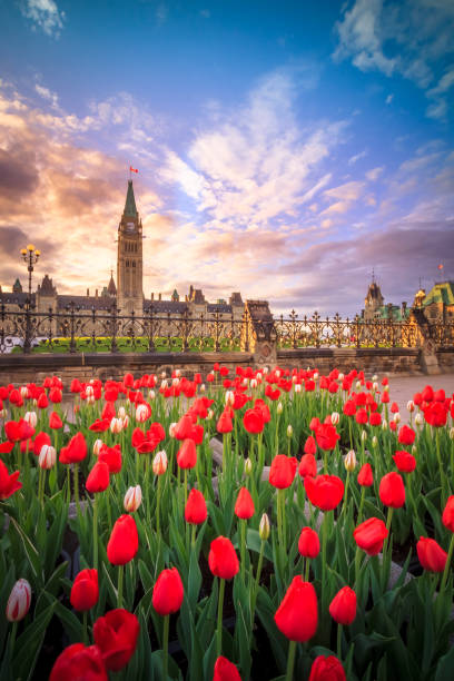 istock View of Canada Parliament building in Ottawa 1154686679