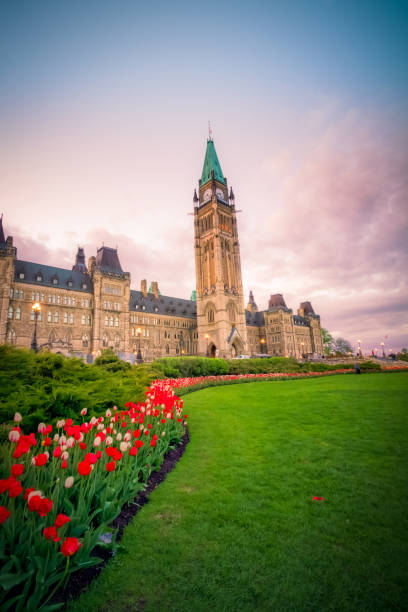 オタワのカナダ国会議事堂の眺め - ottawa tulip festival ストックフォトと画像