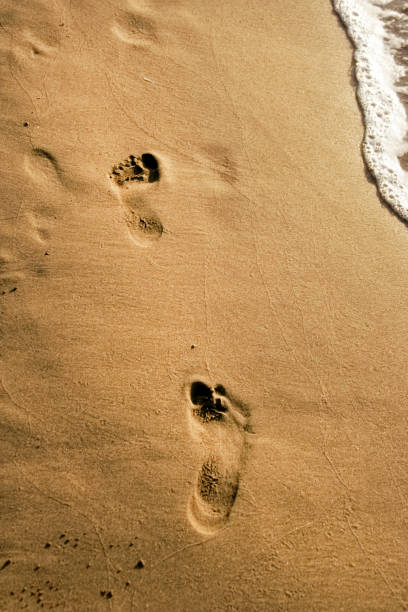 istock close up footprints on golden color sandy beach 1154691149