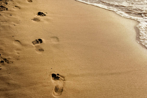 istock close up footprints on golden color sandy beach 1154691943