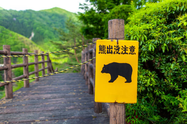 クマ警告サインの画像。(日本語訳: 警告ワイルドベア)