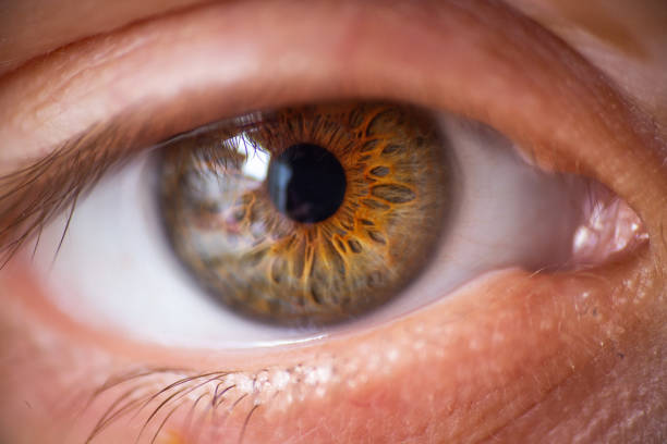 istock Extreme close up on an human eye 1154692683