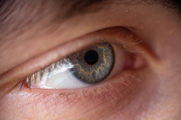 istock Extreme close up on an human eye 1154692764