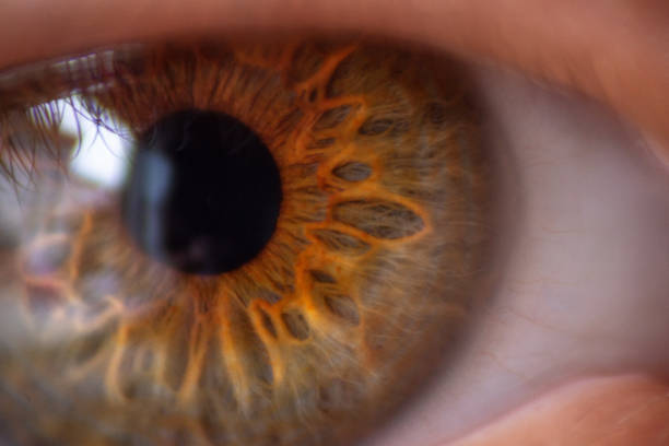 istock Extreme close up on an human eye 1154692901