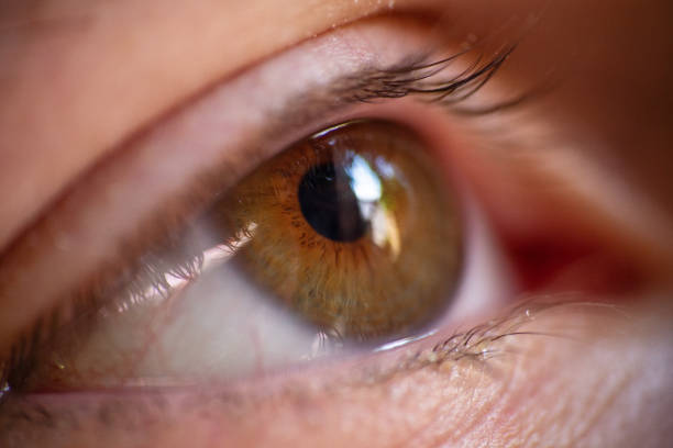 istock Extreme close up on an human eye 1154693461