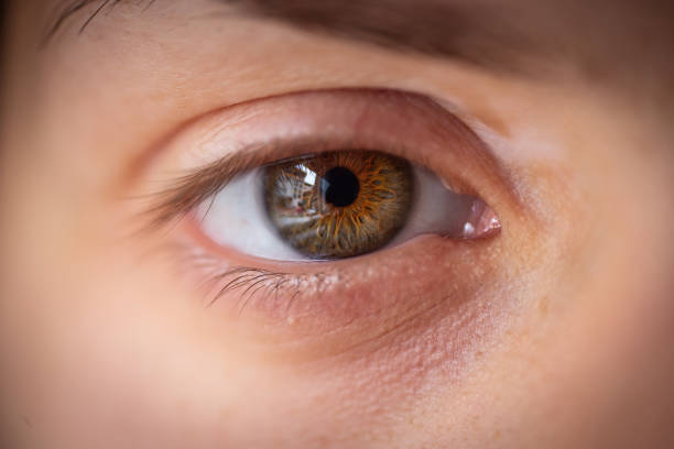 istock Extreme close up on an human eye 1154693463