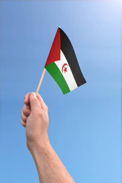 istock Flag of Western Sahara in hand, held high 1154693665