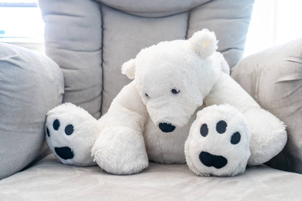 529 Polar Bear Plush Stock Photos, Pictures & Royalty-Free Images - iStock  | Polar bear toy
