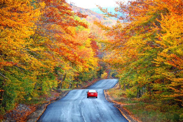 otoño en las montañas blancas de new hampshire - white mountain national forest fotografías e imágenes de stock