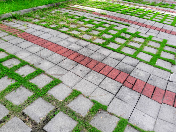 istock the grass in the Parking lot 1154699322