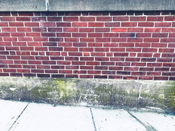istock Brick and Grunge Textured Surfaces Background Wall 1154700096