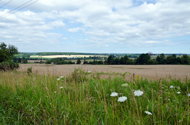 champ de ferme - spaciousness photos et images de collection