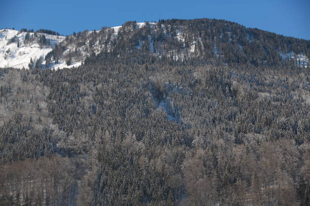 istock valley of austria alps 1154704026