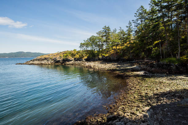 istock Ruckle Provincial Park 1154705889