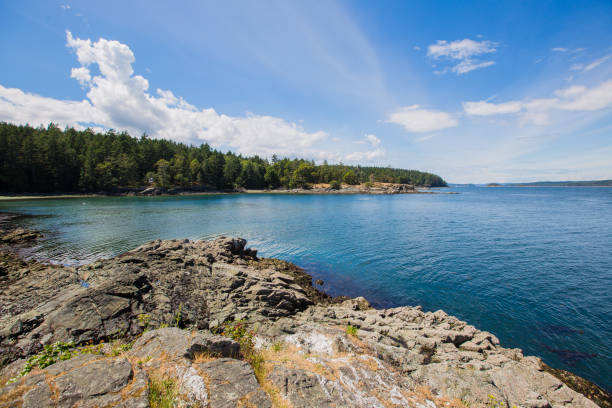 istock Ruckle Provincial Park 1154705932