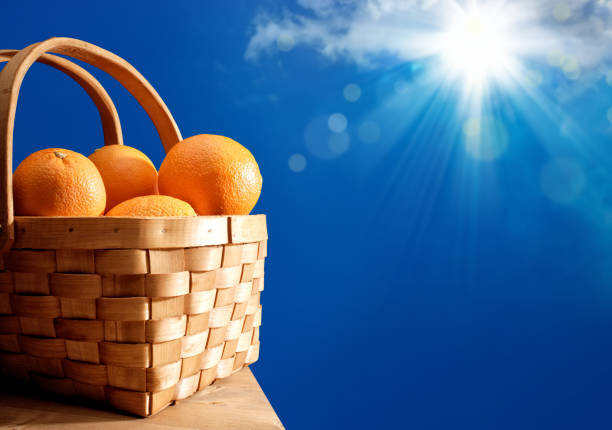 Close up fresh oranges in basket over sunny blue sky with sunbeam