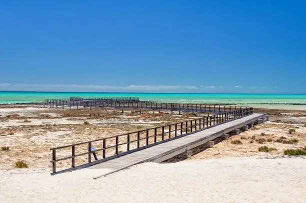 Boardwalk at Hamelin Pool above marine stromatolites - Denham, WA, Australia