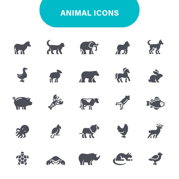 Animal Balck Icons Gorilla, Zoo, Octopus, Rhinoceros, Icon, Animals, Icon Set balck stock illustrations