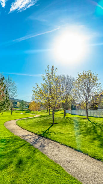 istock Vertical tall Pathway curving on a grassy terrain under the blazing sun and blue sky 1154715090
