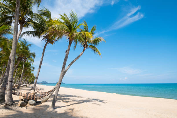 istock Landscape of summer season 1154717367