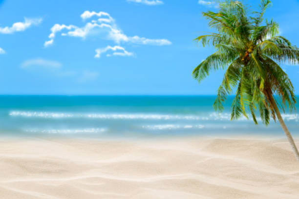 istock Beach with blurry blue ocean and sky,palm tree background ,Summer Concept . 1154719515