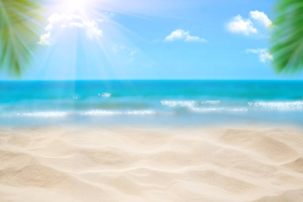 istock Beach with blurry blue ocean and sky,palm tree background ,Summer Concept . 1154719598