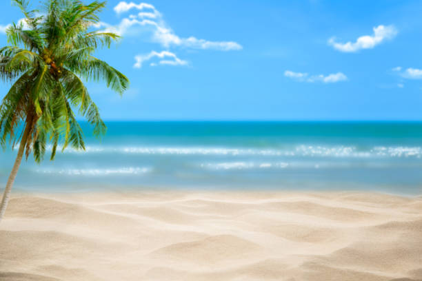istock Beach with blurry blue ocean and sky,palm tree background ,Summer Concept . 1154719630