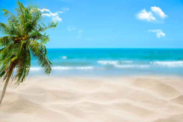 istock Beach with blurry blue ocean and sky,palm tree background ,Summer Concept . 1154719682