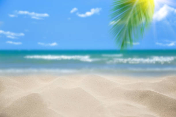 istock Beach with blurry blue ocean and sky,palm tree background ,Summer Concept . 1154719684